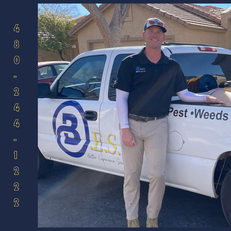 Better Experience Service Team Pest project